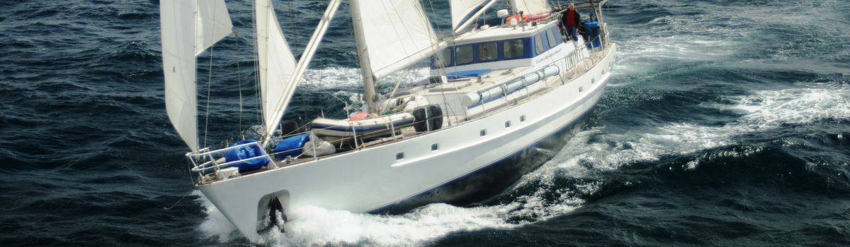 About evohesailing