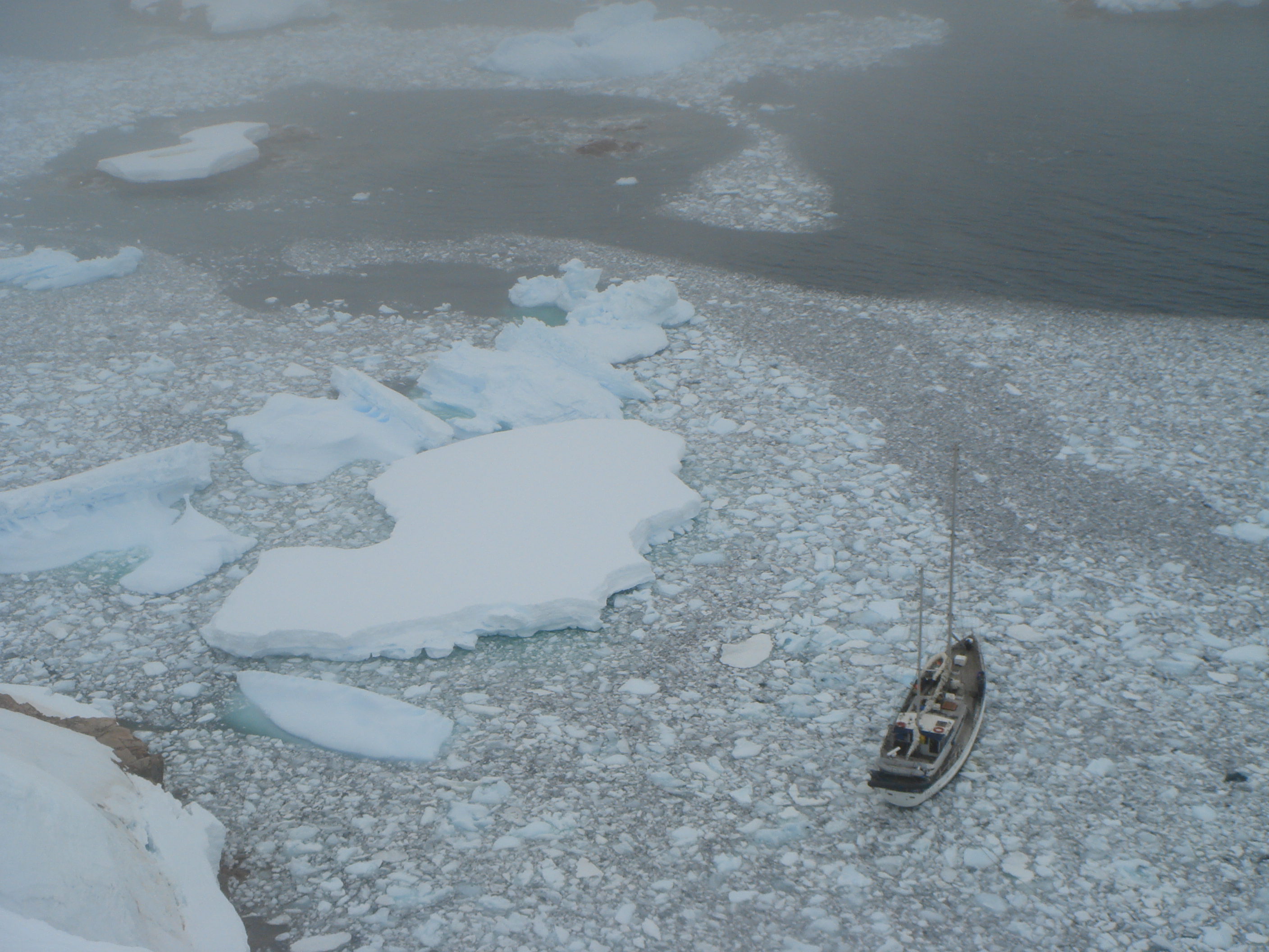 Charter Expeditions