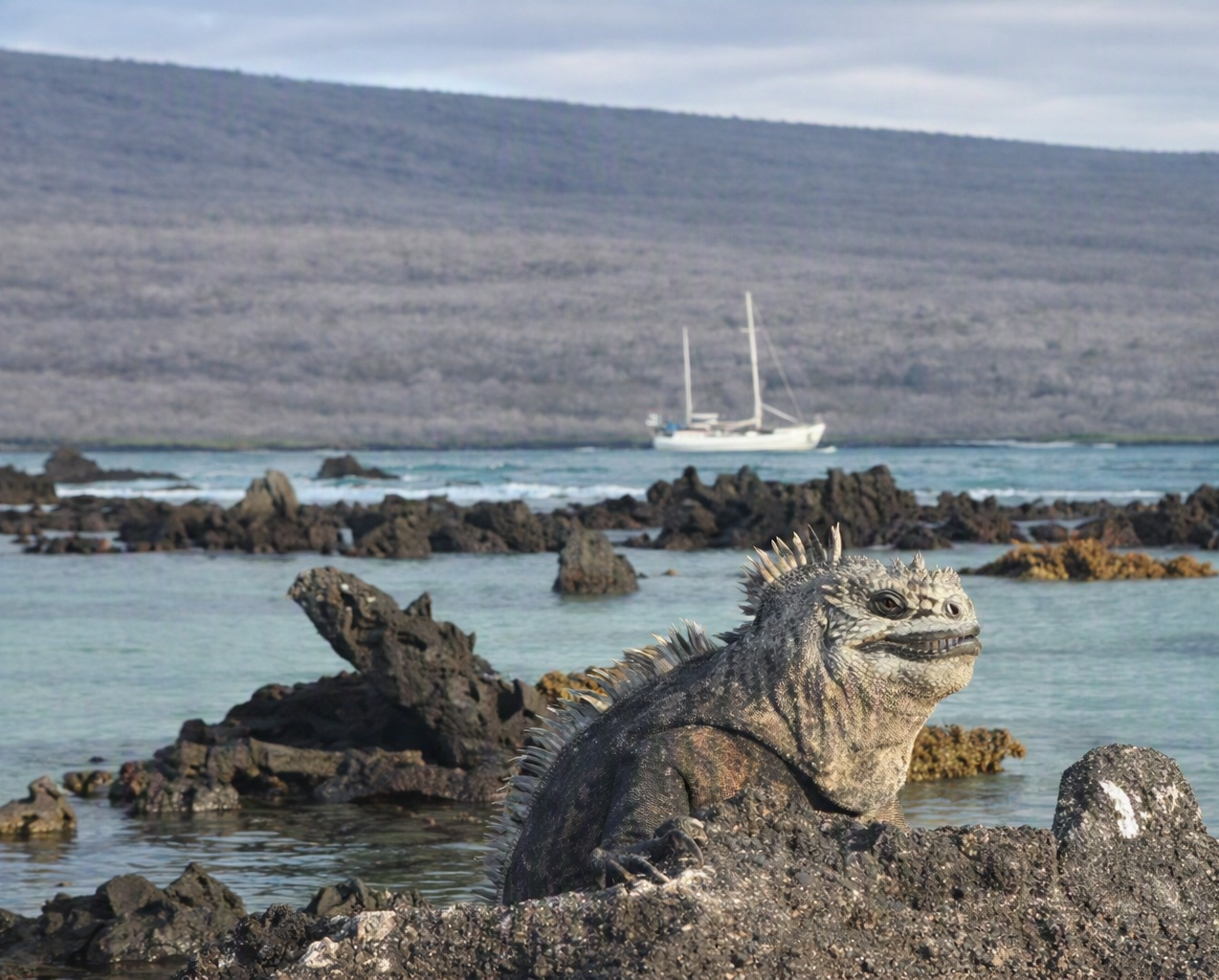 2006 Galapagos